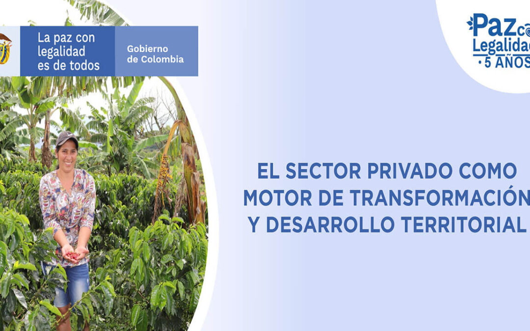 El sector privado como motor de transformación